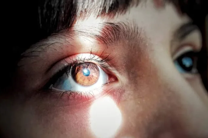 Close-up of a person’s brown eye with a bright beam of light illuminating the iris and reflecting in the pupil.